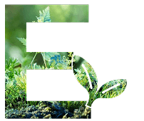 Экология (E): бережное отношение к окружающей среде
