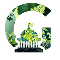 Корпоративное управление (G): прозрачность и эффективность
