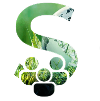 Социальная ответственность (S): развитие человеческого капитала и общества
